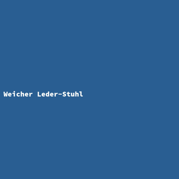Weicher Leder-Stuhl