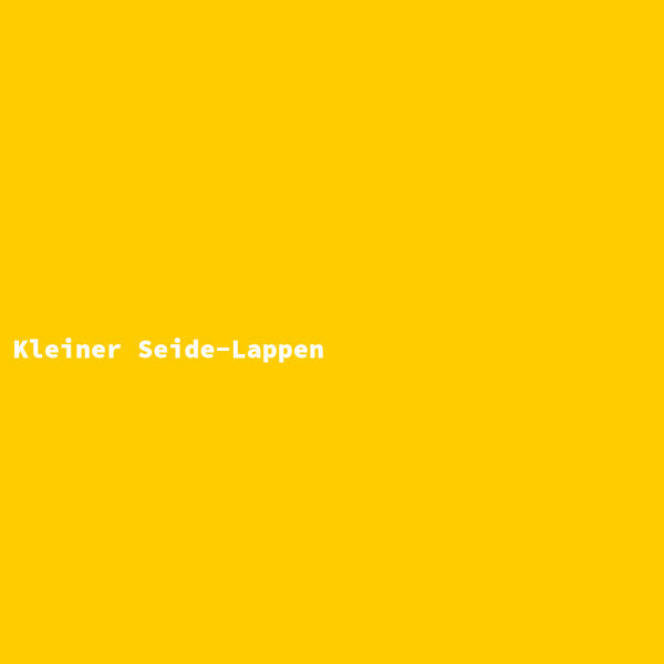 Kleiner Seide-Lappen