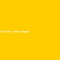 Kleiner Seide-Lappen