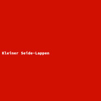 Kleiner Seide-Lappen