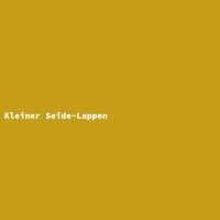 Kleiner Seide-Lappen